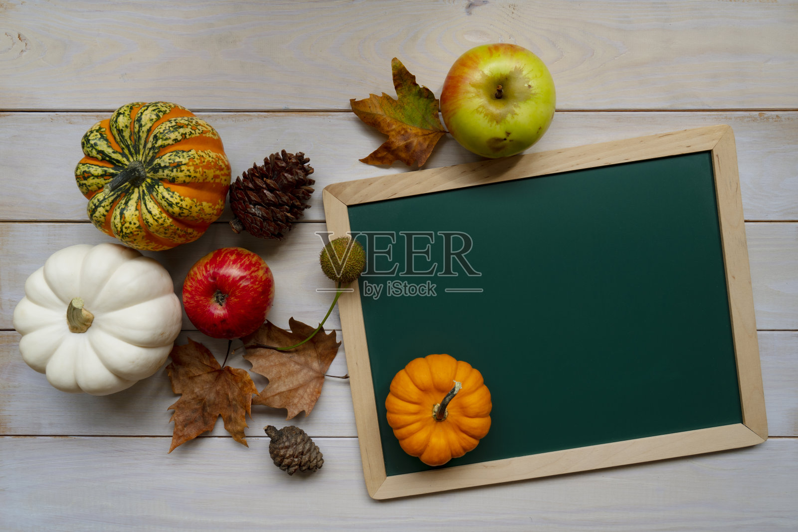 感恩节快乐照片摄影图片