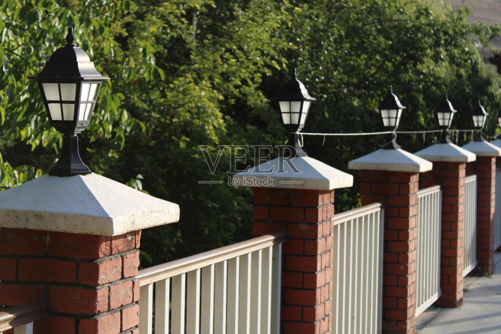 对象和性质照片摄影图片