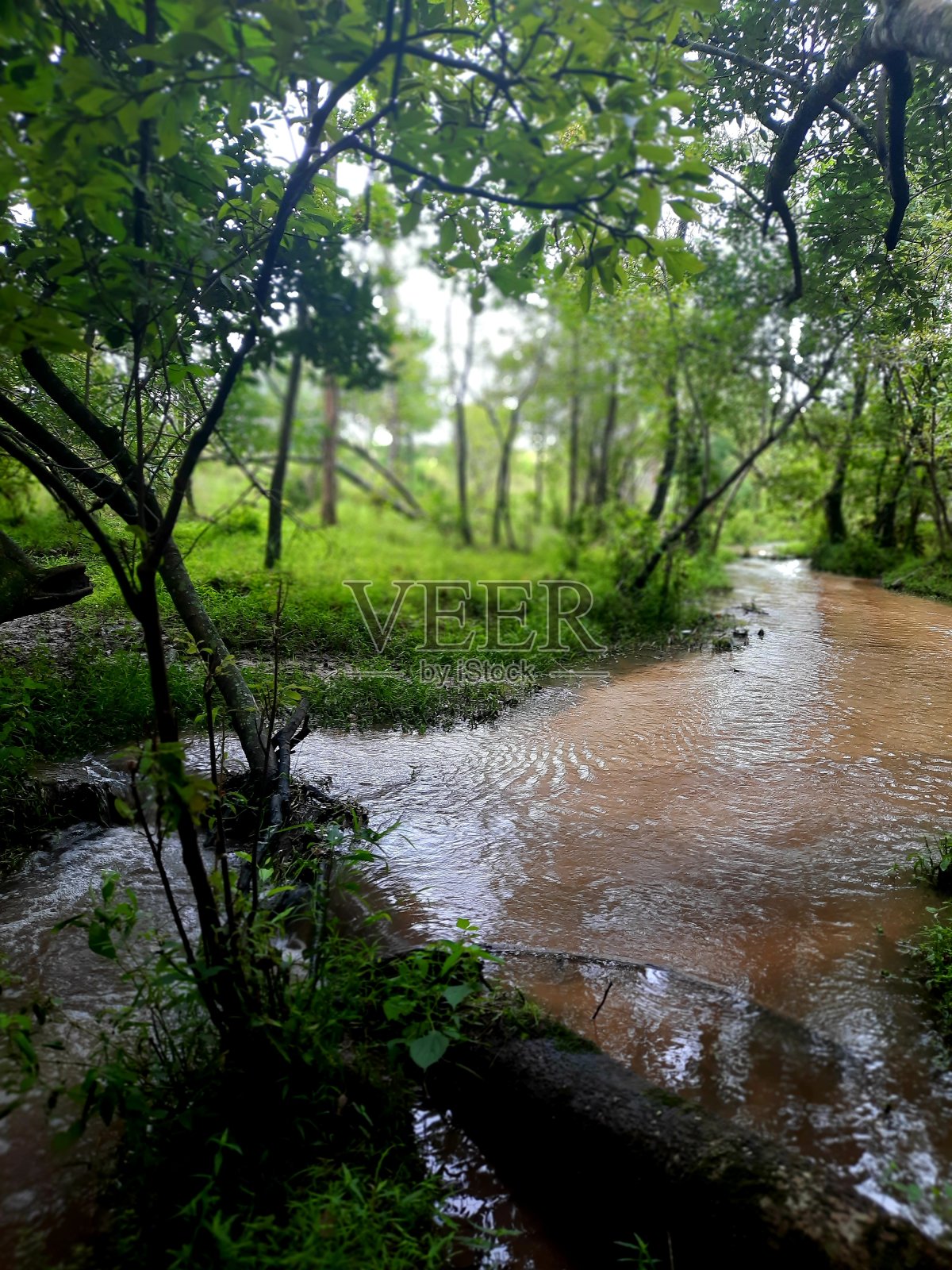 流过去照片摄影图片