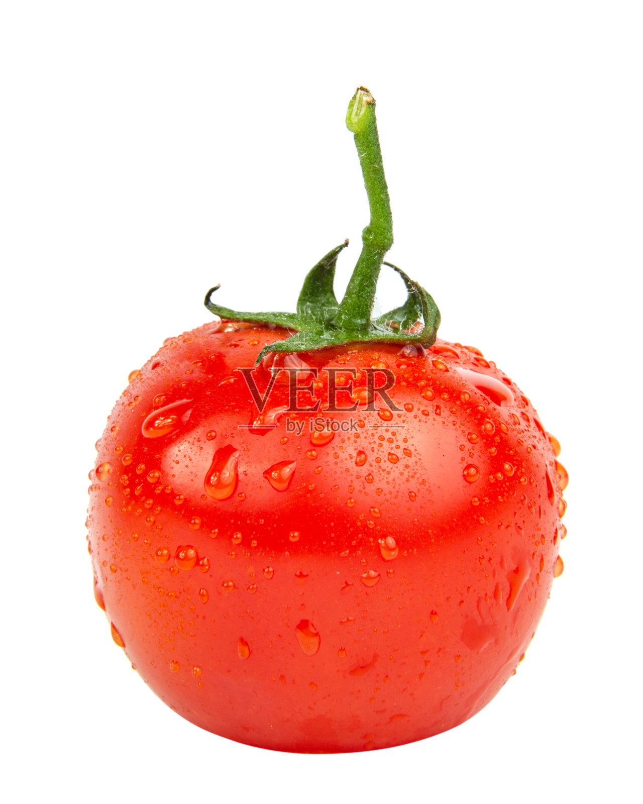新鲜的红色番茄与湿滴孤立在白色背景照片摄影图片