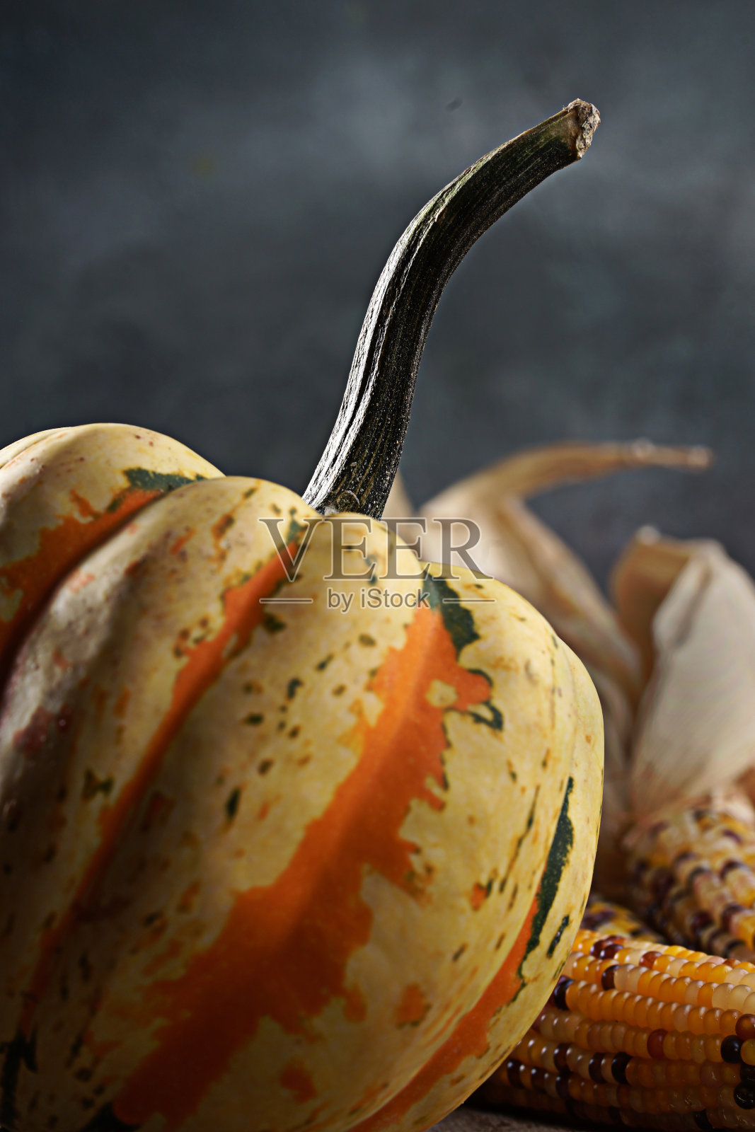 葫芦摄影黑暗和穆迪照片摄影图片