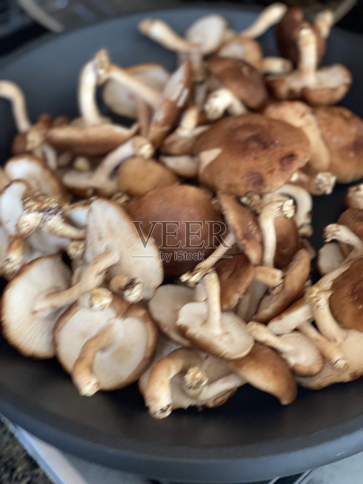 沙塔基斯照片摄影图片