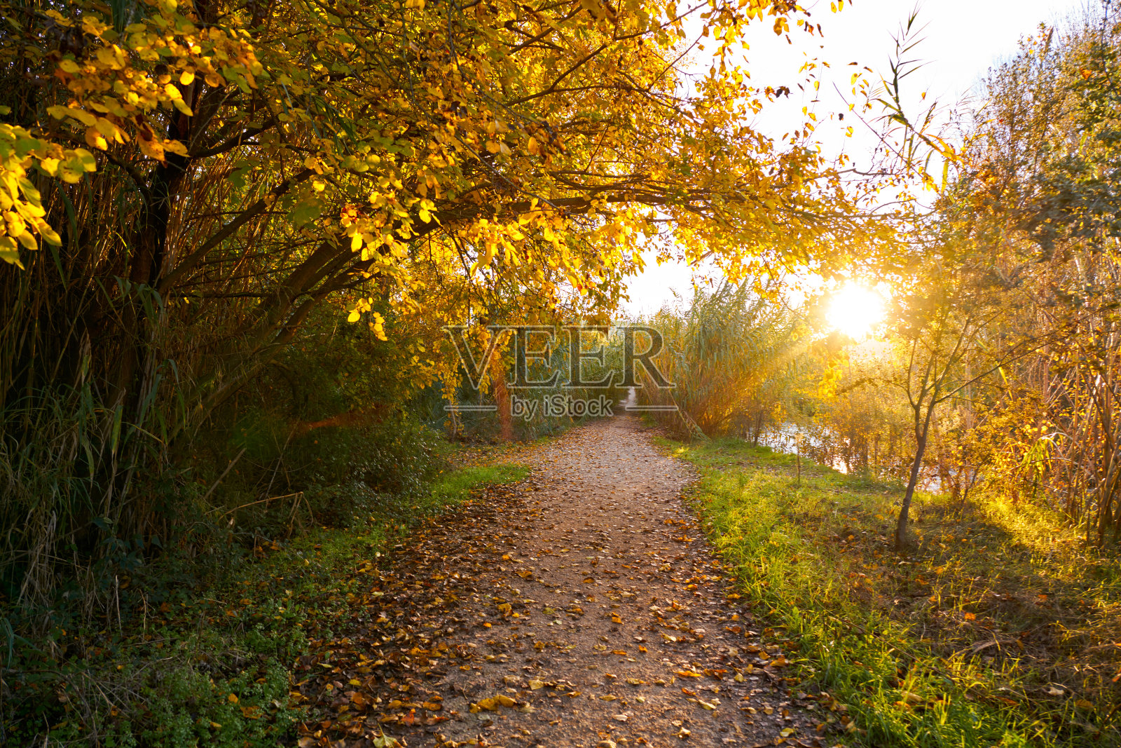 瓦伦西亚图里亚公园秋天的日落照片摄影图片