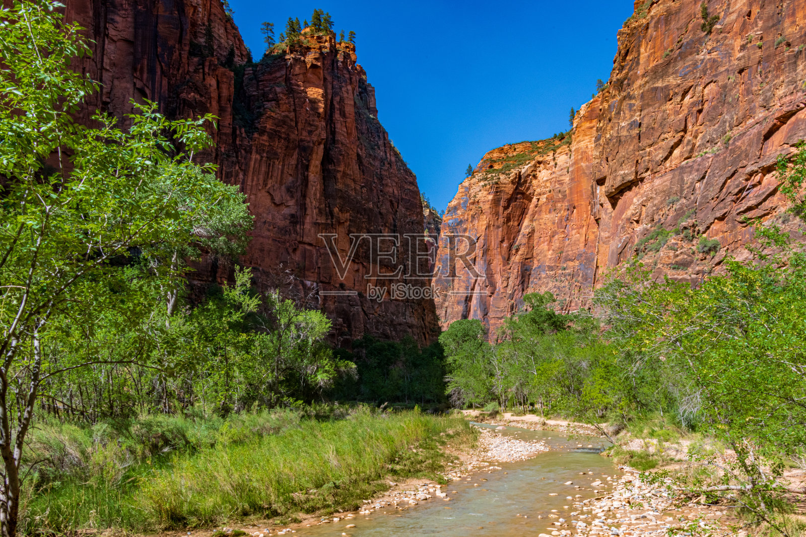 锡安国家公园日落时的维珍河谷照片摄影图片
