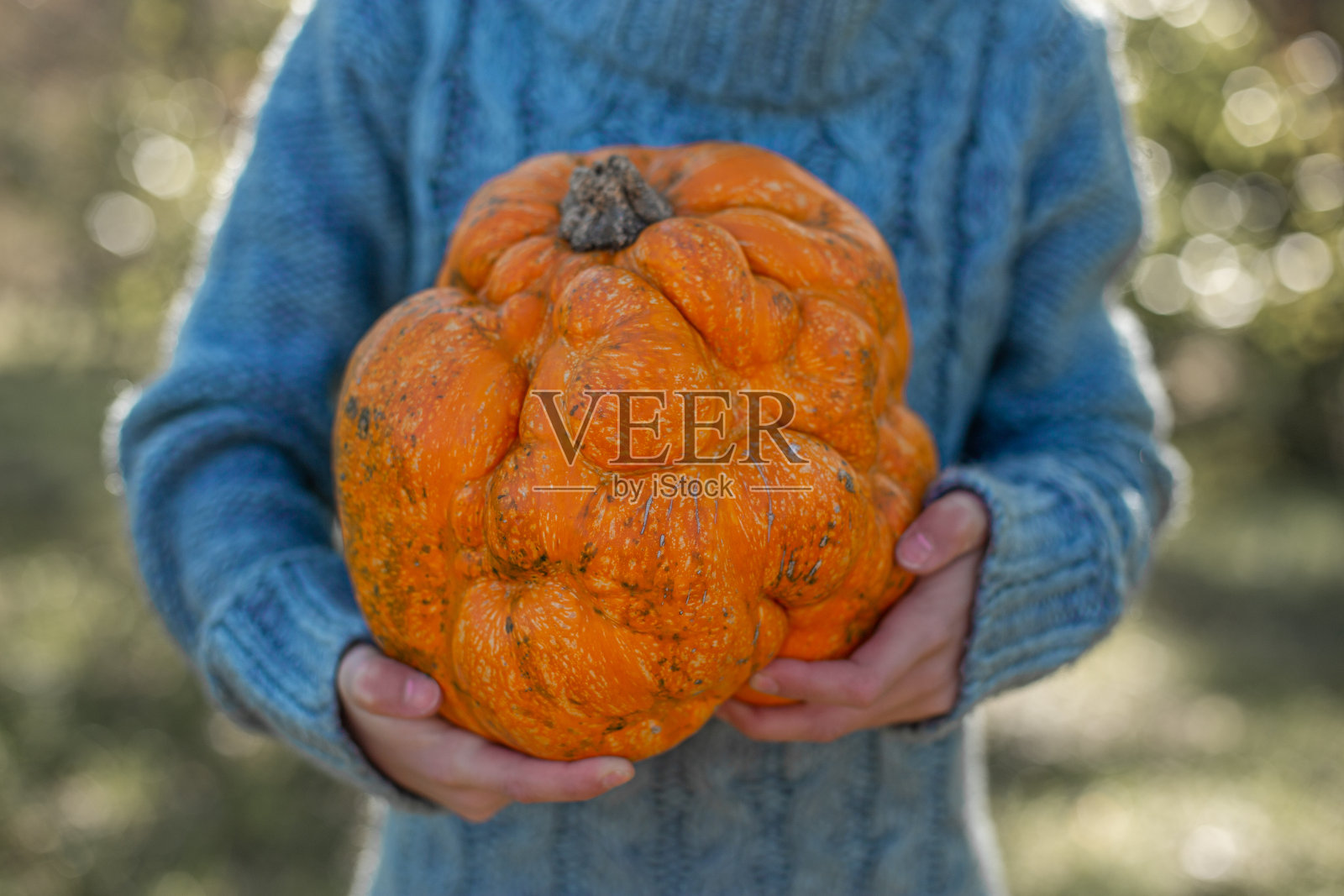 一个孩子手里拿着一个丑陋的橙色南瓜。照片摄影图片