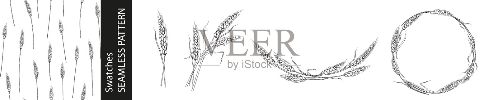 集不同的小麦枝条无缝插画图片素材