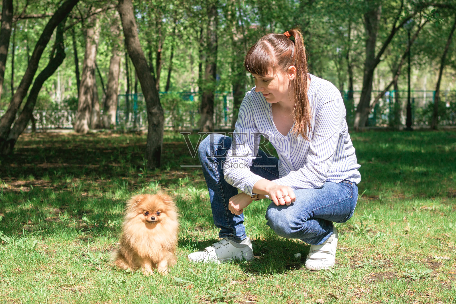 一名白人妇女在公园的草地上和她的博美犬小狗玩耍。照片摄影图片