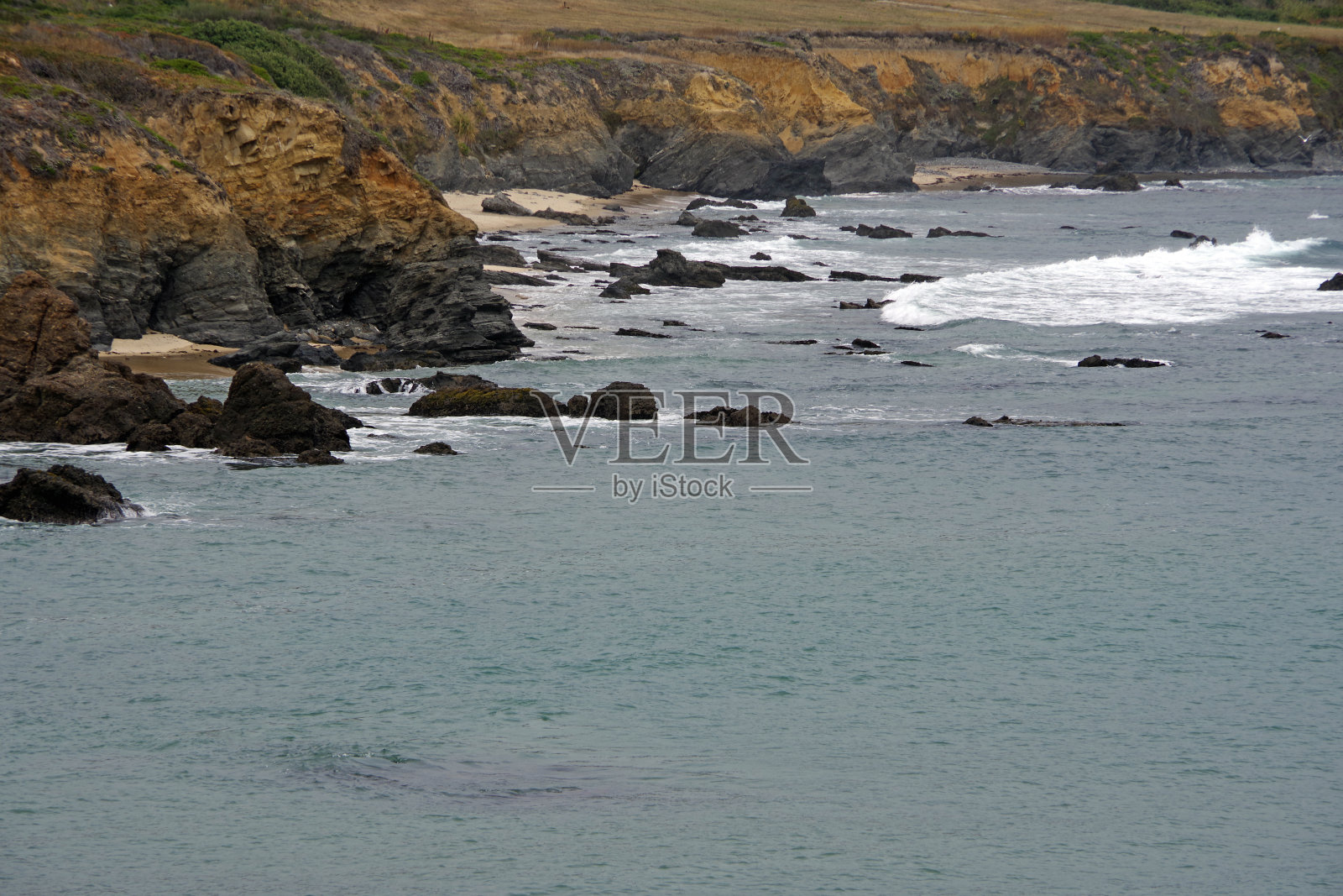 野生加州海岸照片摄影图片
