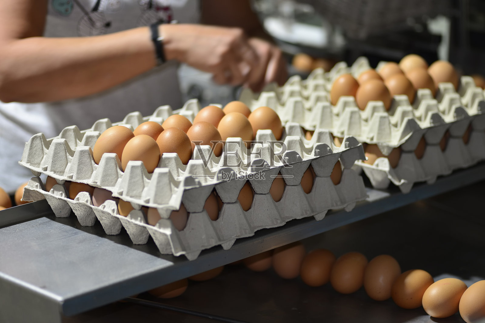 鸡:农场上的家养或自制的产蛋母鸡。照片摄影图片
