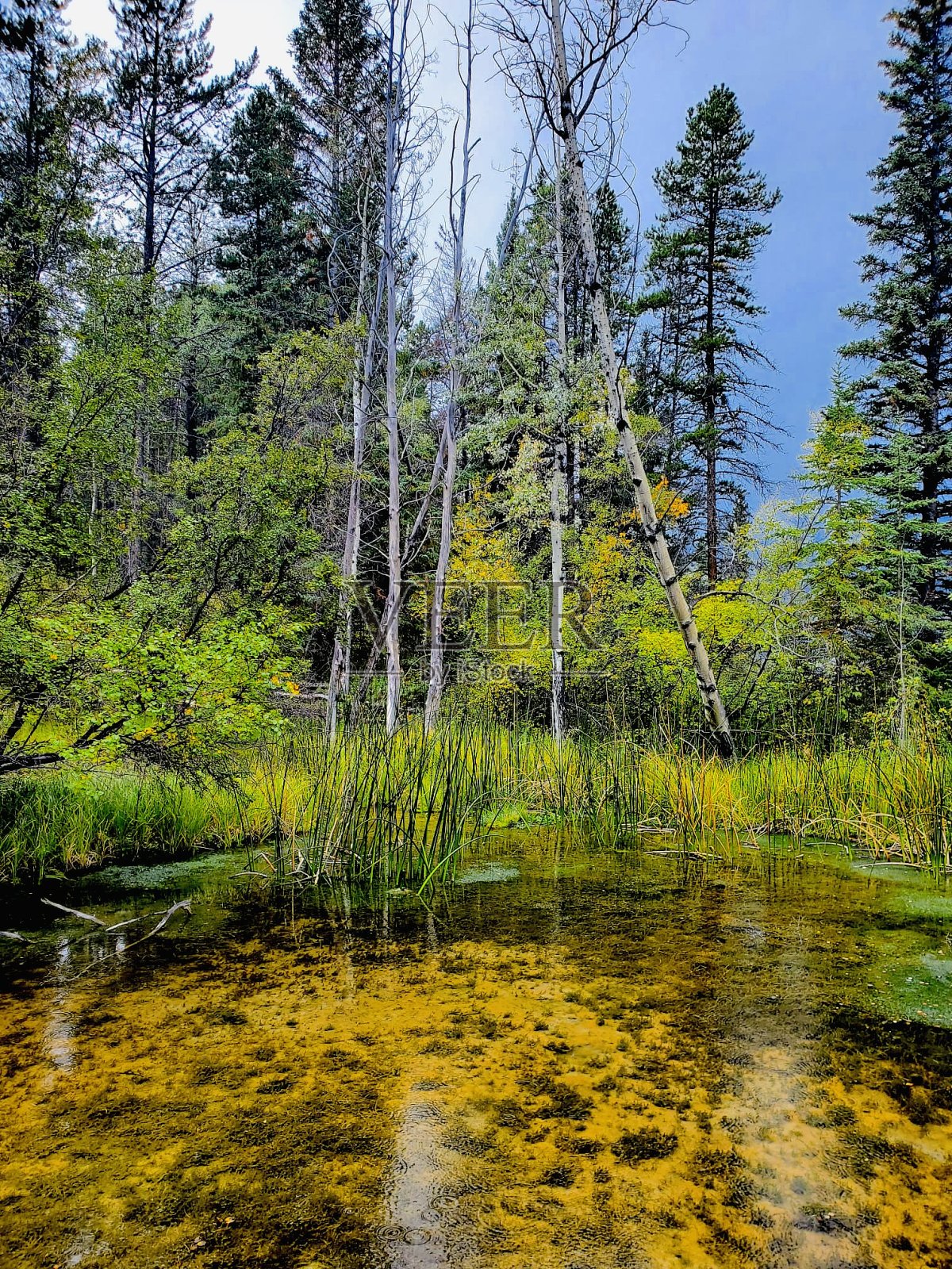 天然硫磺泉照片摄影图片