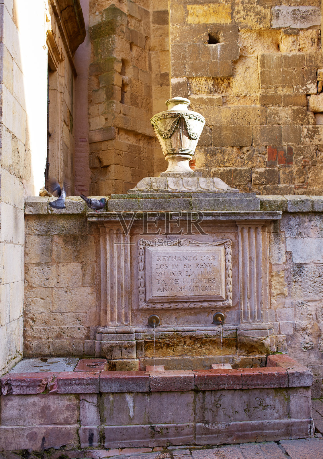 利昂·卡洛斯四世喷泉旁边的市长广场西班牙。圣地亚哥之路照片摄影图片