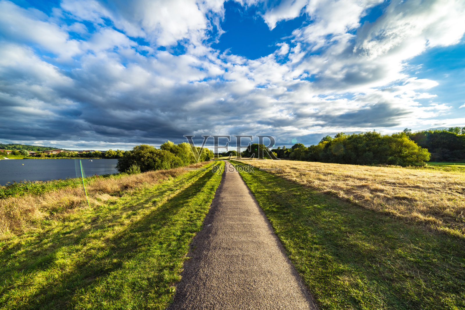 绿色公园小路照片摄影图片
