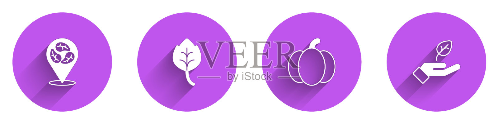 集素食饮食的叶子或南瓜叶和图标素材