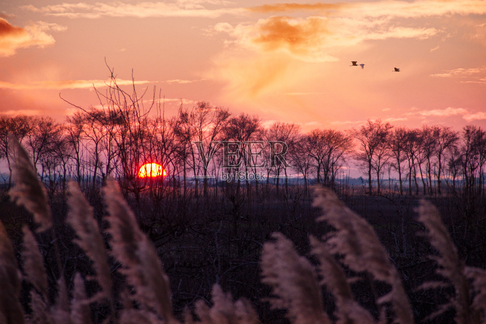 日落照片摄影图片