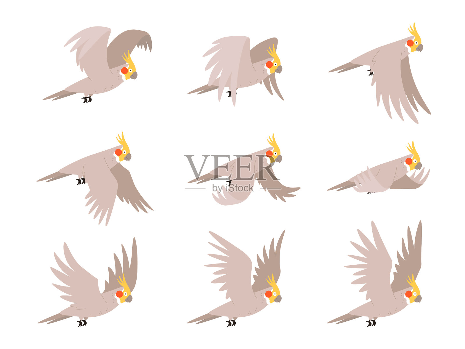 卡通鹦鹉飞动画帧设计元素图片