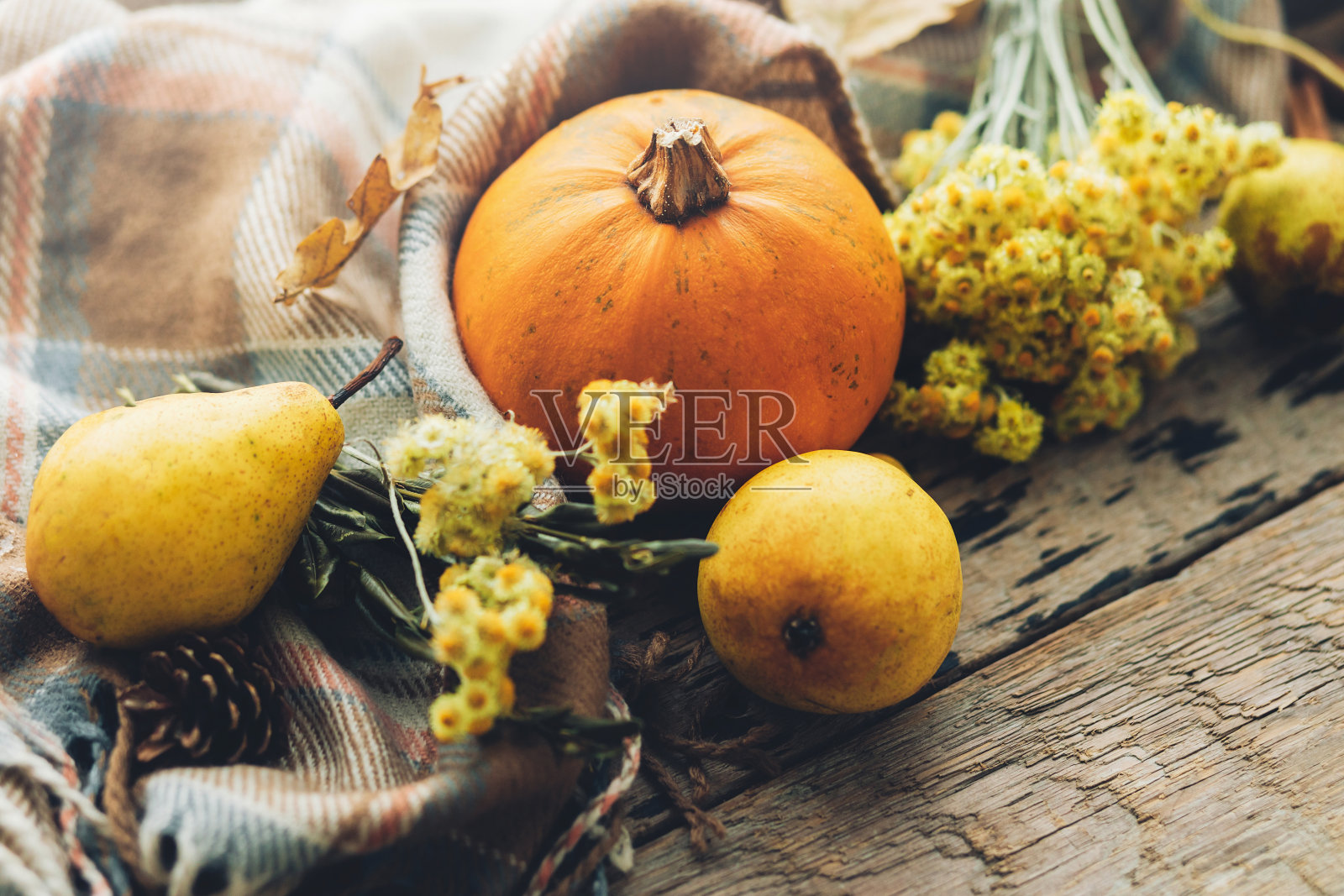 时尚的南瓜,秋天的树叶,鲜花,梨子和舒适的毯子在质朴的旧木制背景。乡村秋季构图以空间为文本。感恩节和万圣节快乐照片摄影图片