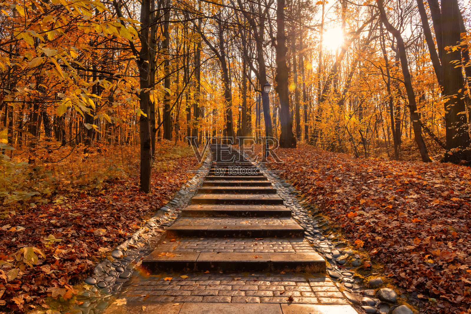 秋日公园里阳光灿烂的秋景。秋天的风景。照片摄影图片