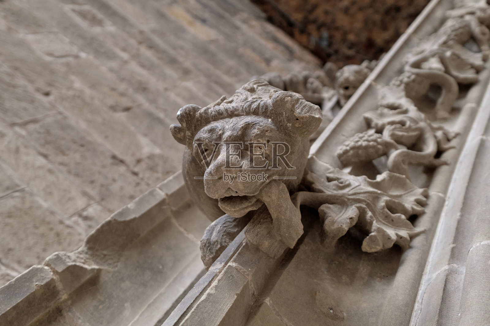 在西班牙比利牛斯山的圣胡安德拉Peña修道院的门上雕刻的狮子照片摄影图片