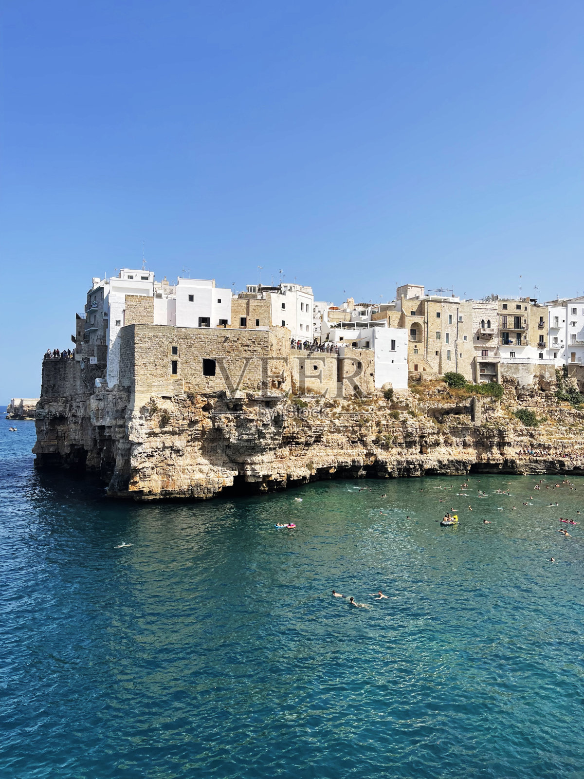 一匹母马照片摄影图片