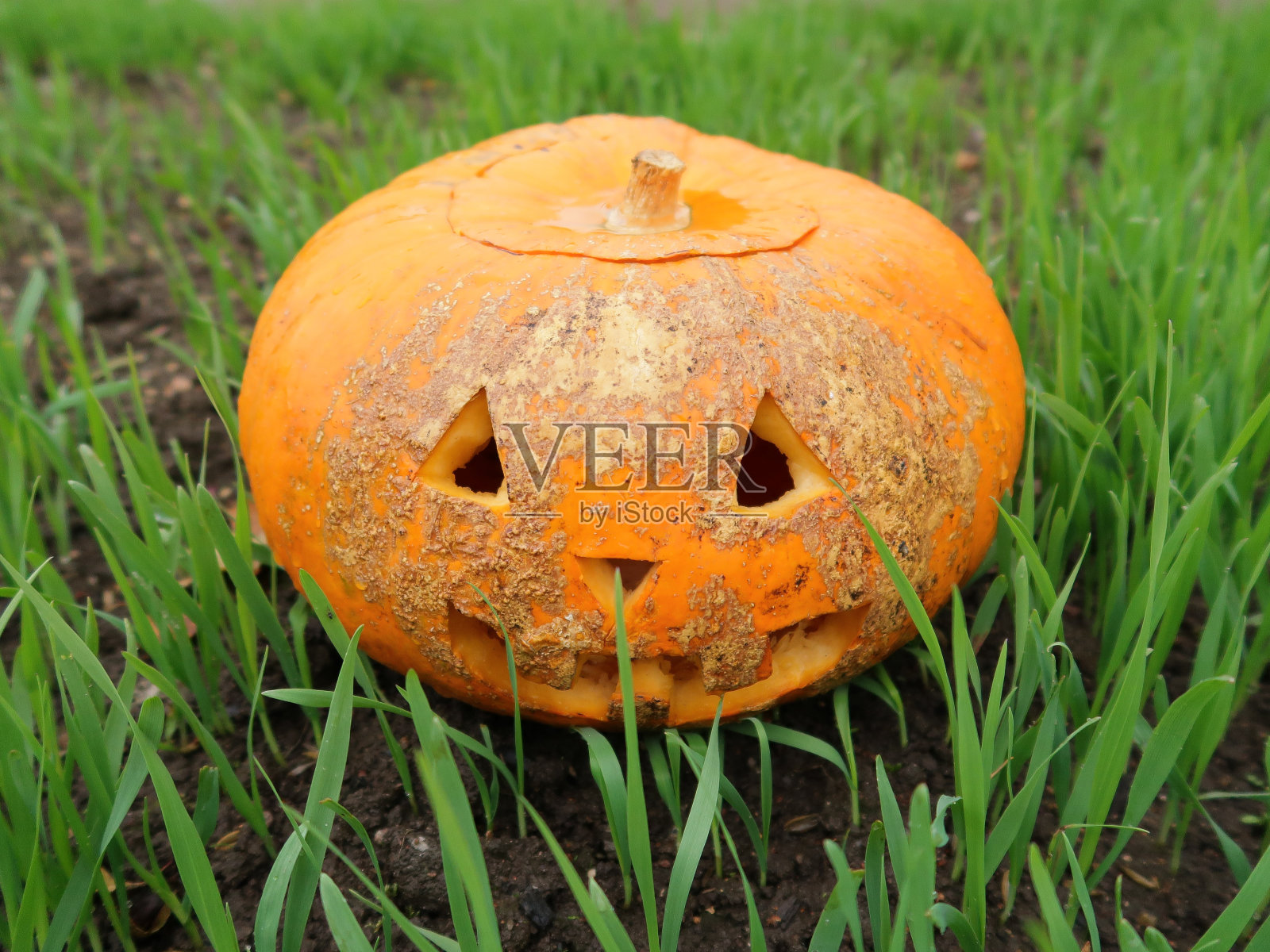 雕刻脸的万圣节南瓜。照片摄影图片