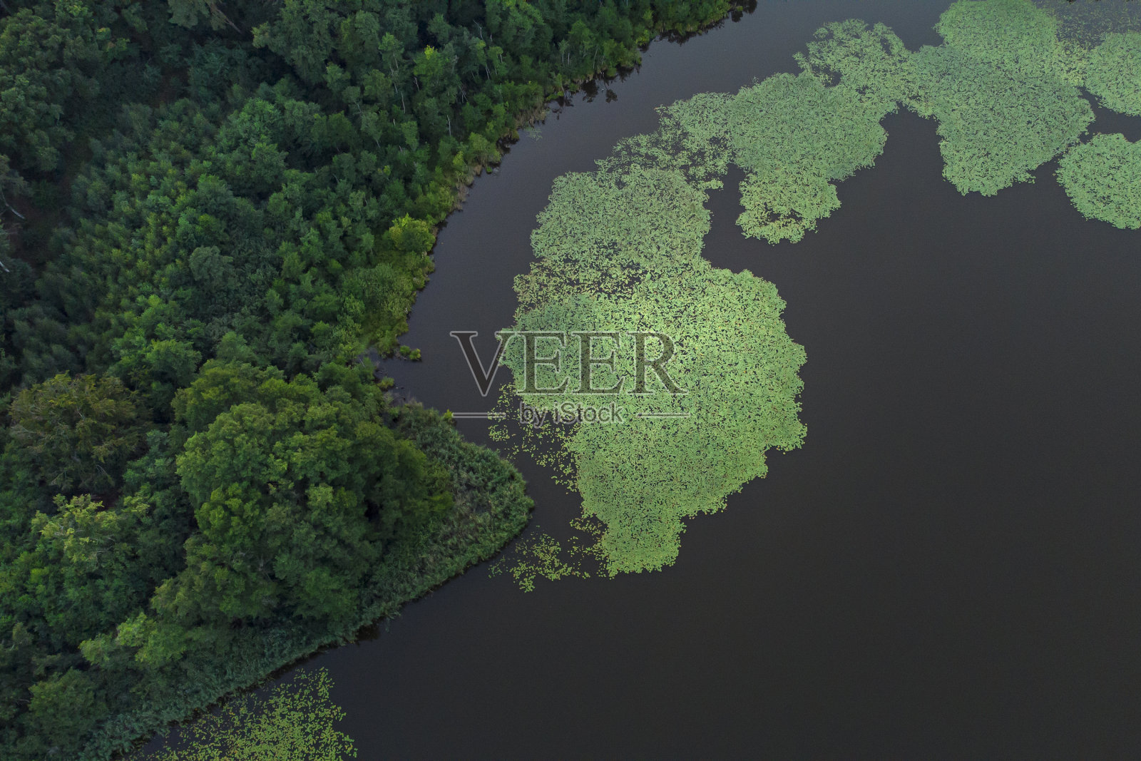 小湖上的睡莲田,梅克伦伯吉什看platte -鸟瞰图照片摄影图片