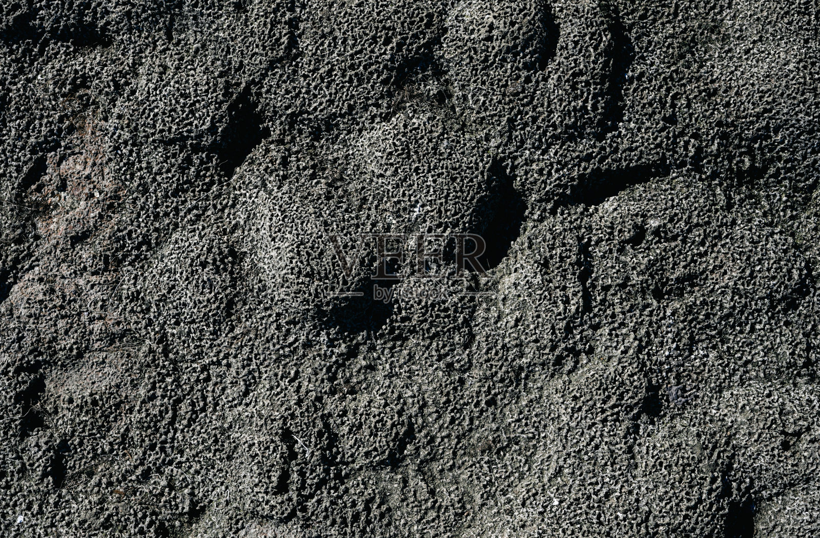 苔藓石纹理背景自然。自然背景照片摄影图片