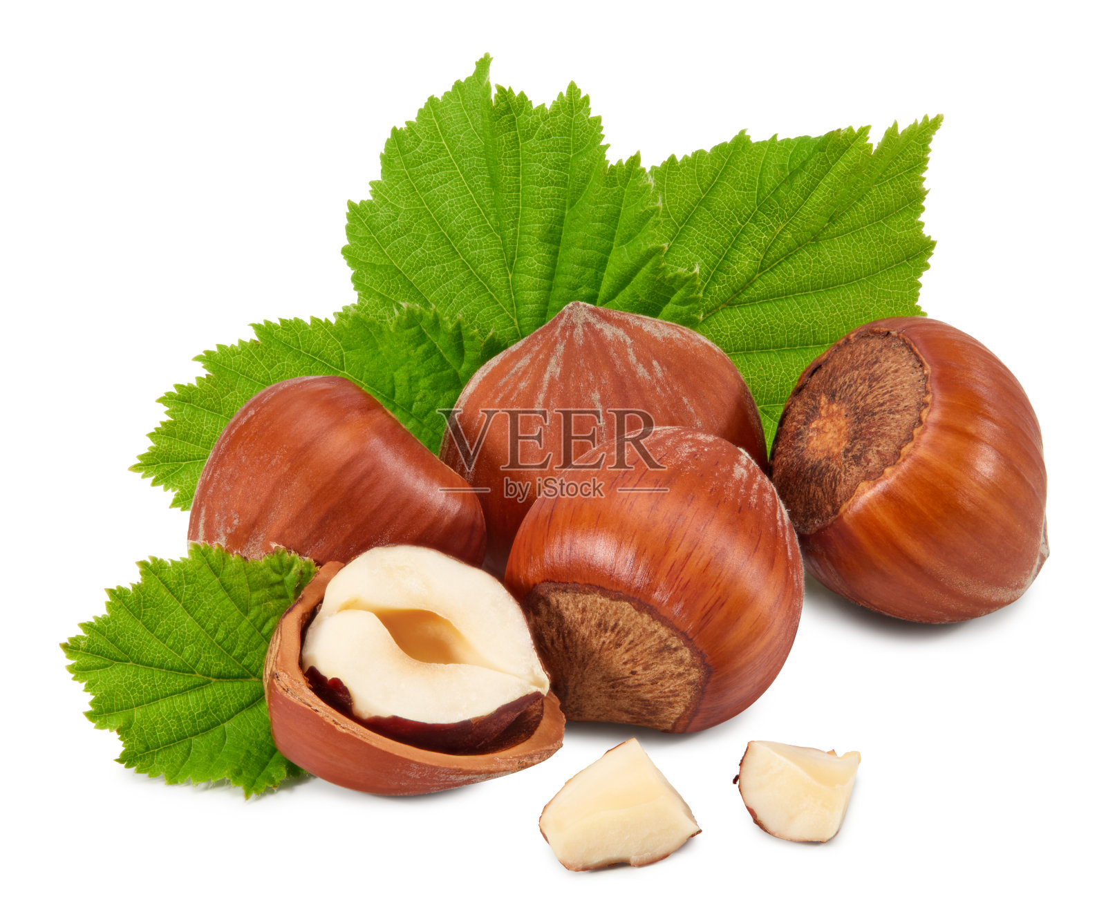 带有绿色叶子的榛子分离在白色背景宏。剪切路径照片摄影图片