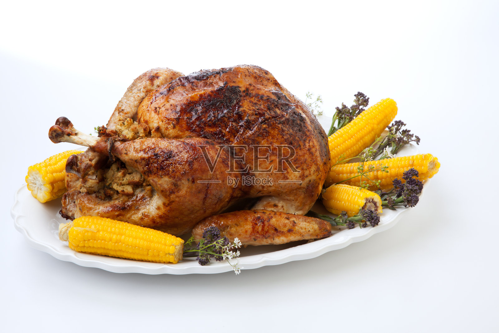 传统的秋季南瓜烤火鸡照片摄影图片