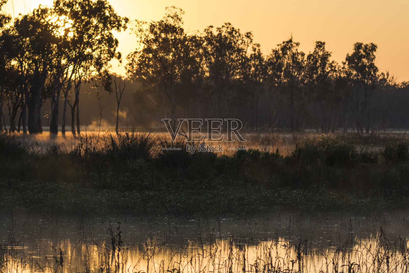 清晨的晨光和薄雾从布罗德沃特湖的湿地升起。照片摄影图片