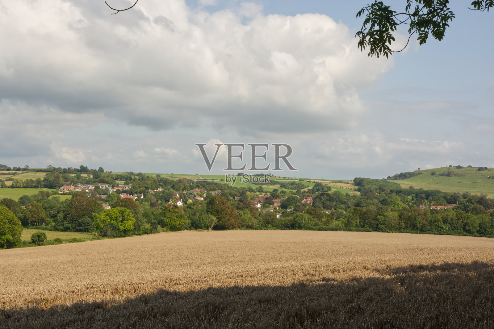 英格兰,苏塞克斯,芬顿的南唐斯乡村照片摄影图片