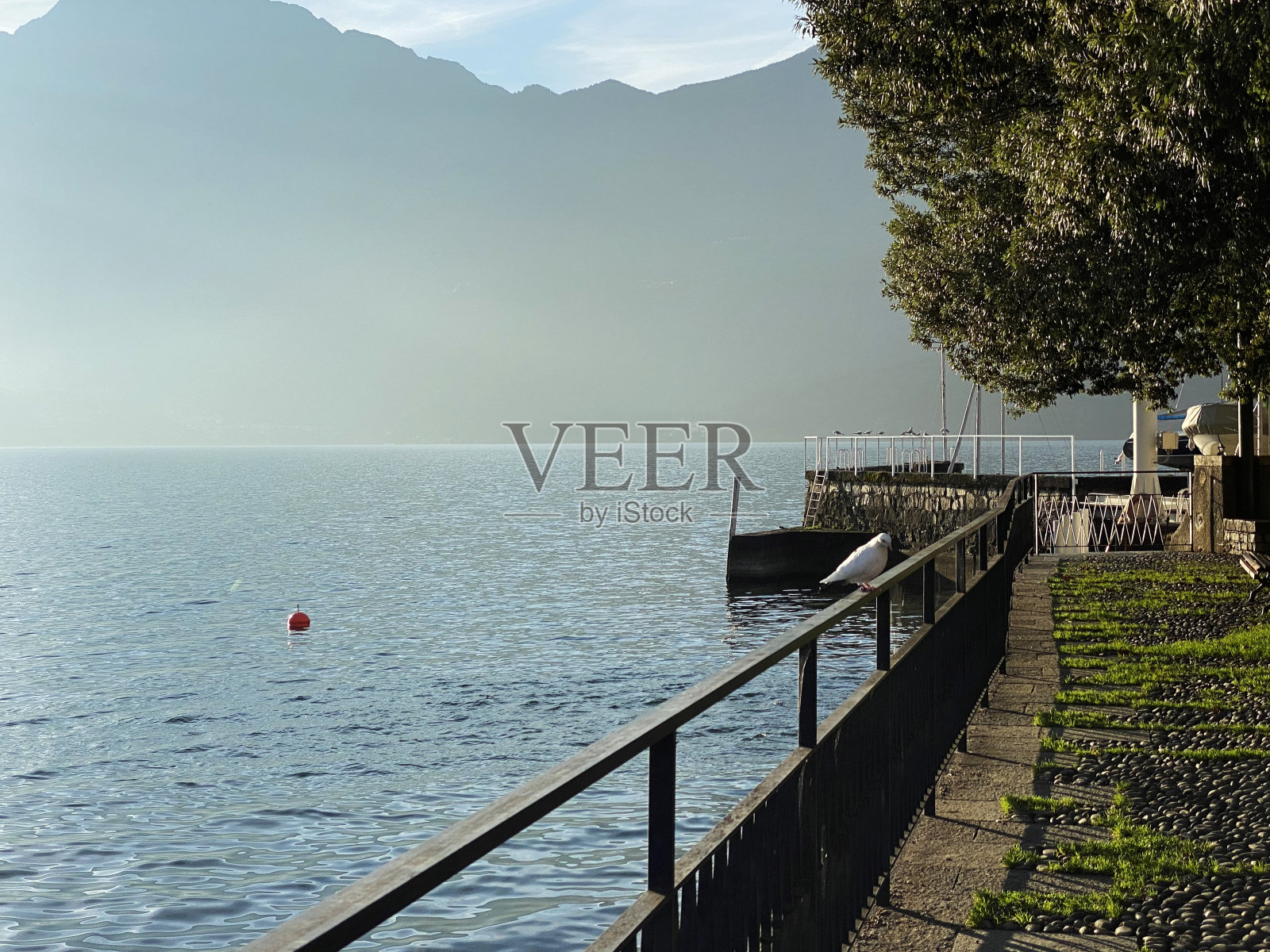 湖边的日出照片摄影图片