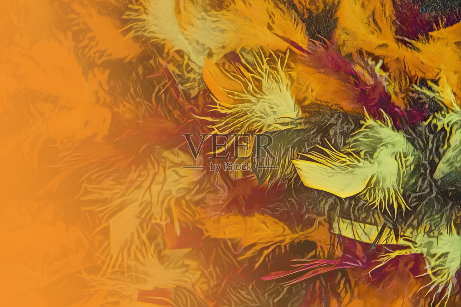 羽毛背景的绿色和橙色和黑色-伟大的万圣节或其他场合-褪色到橙色的一边-复印的房间照片摄影图片