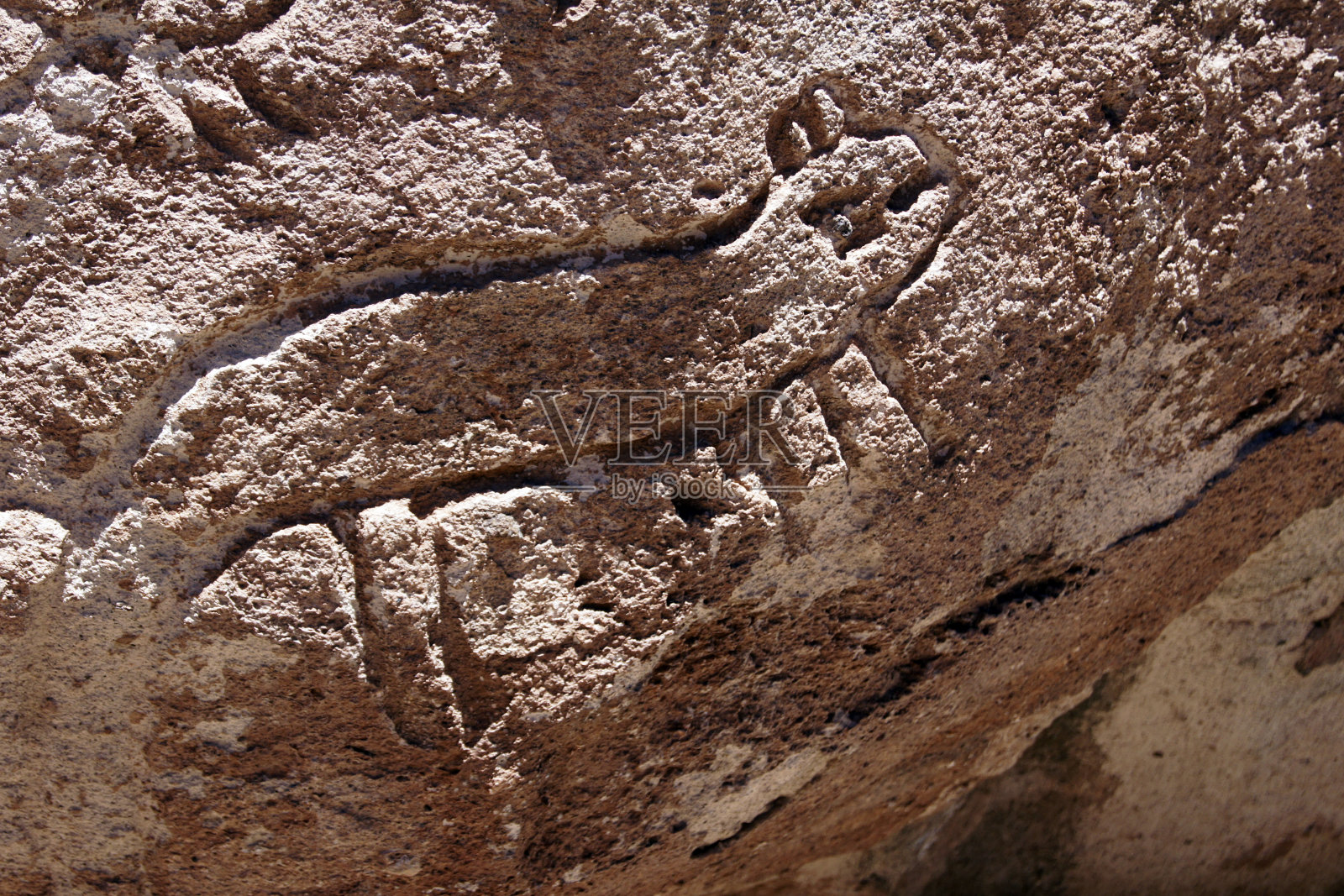 智利阿塔卡马沙漠Yerbas Buenas的岩画照片摄影图片