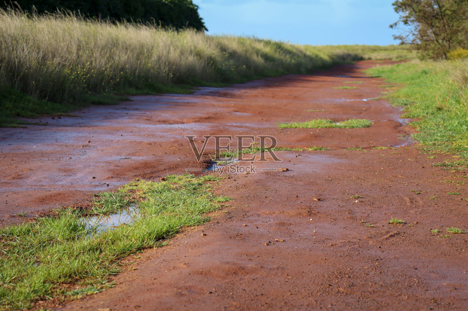 雨后田野里的小路照片摄影图片