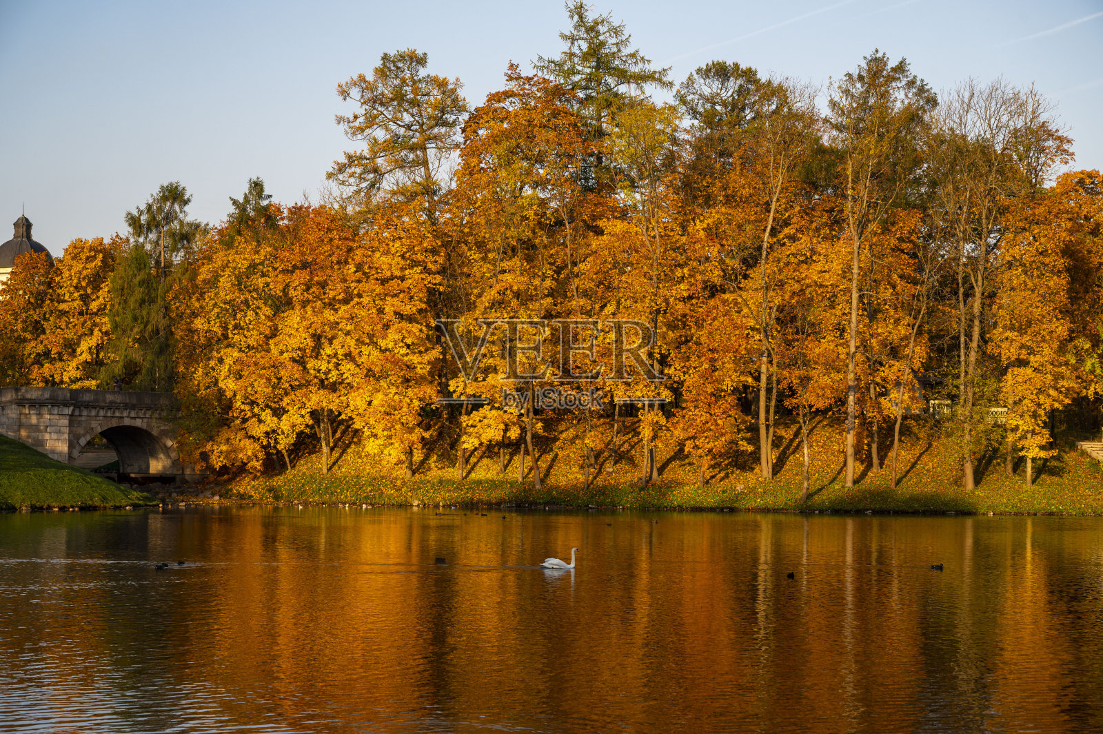 秋天照片摄影图片