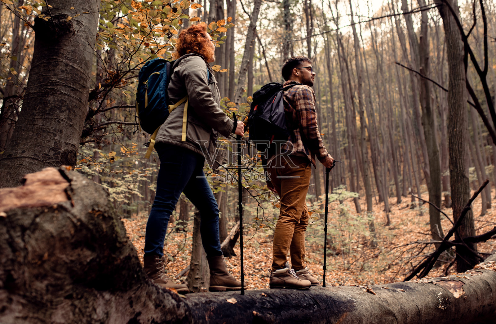 年轻夫妇背着背包在森林里徒步旅行。照片摄影图片