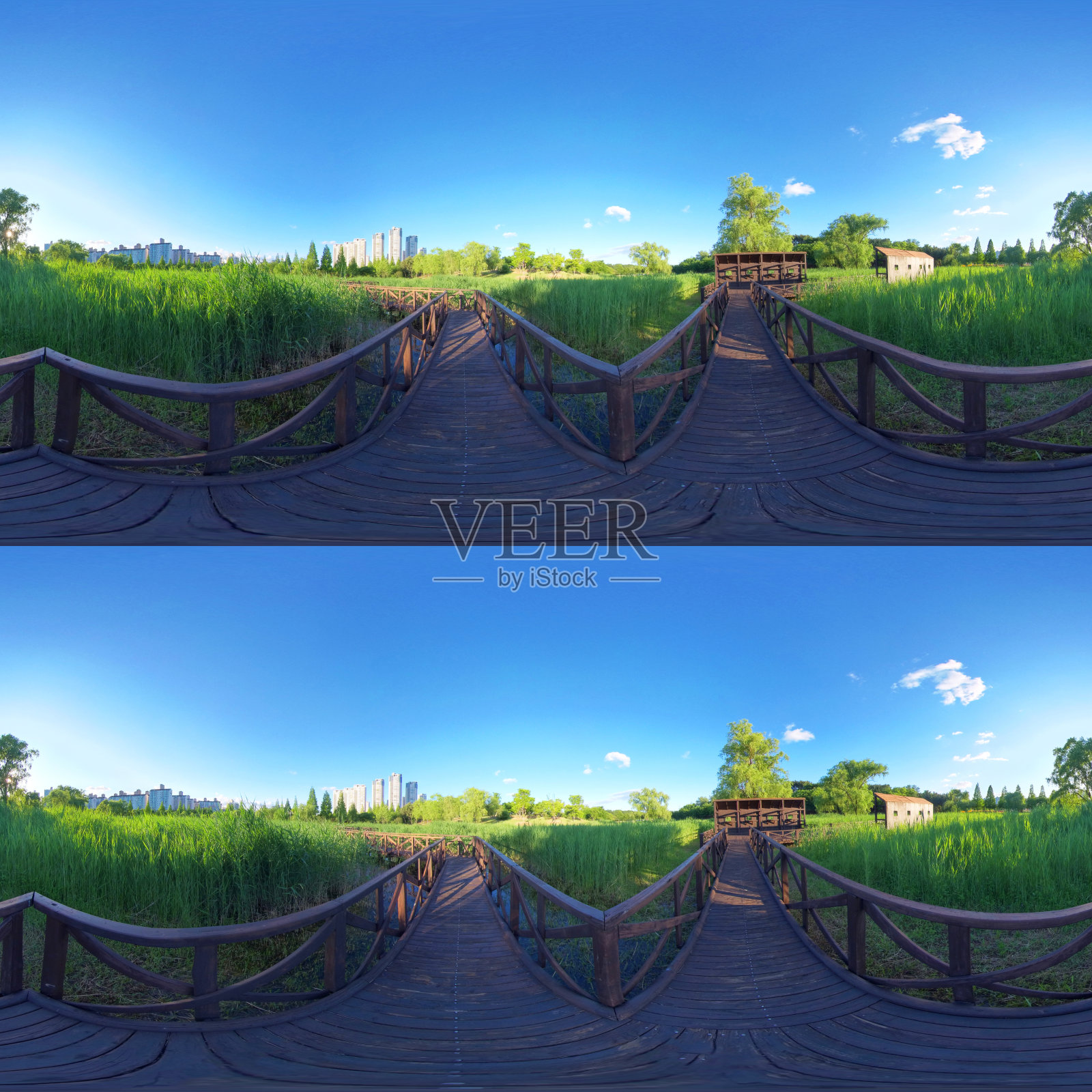 全球面3D 360度全景视图,森林公园360图像,VR AR内容。照片摄影图片