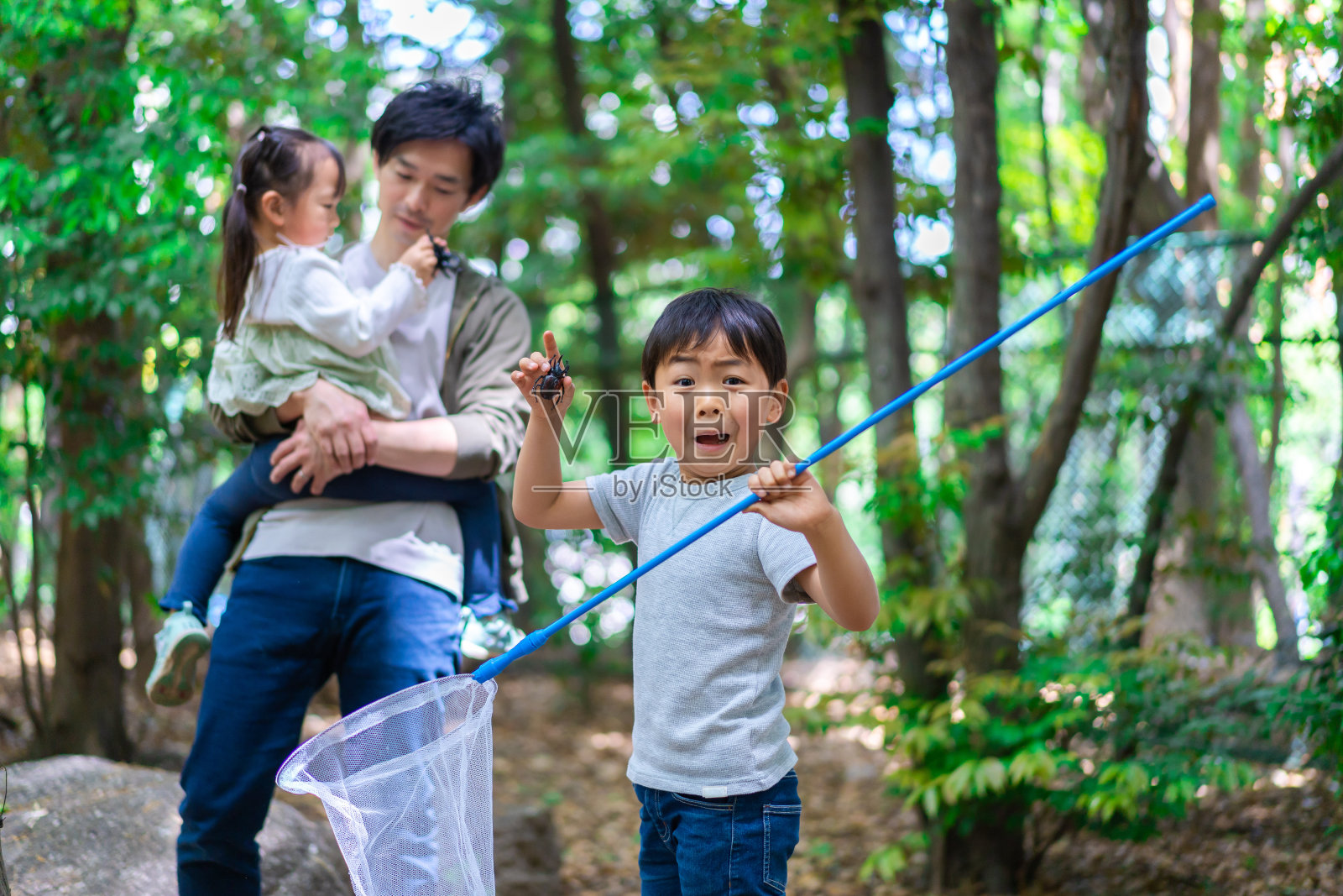 父亲和孩子们收集昆虫照片摄影图片