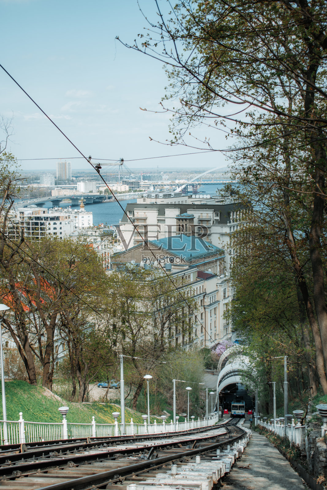 春天的哼哼在柔和的阳光下照片摄影图片