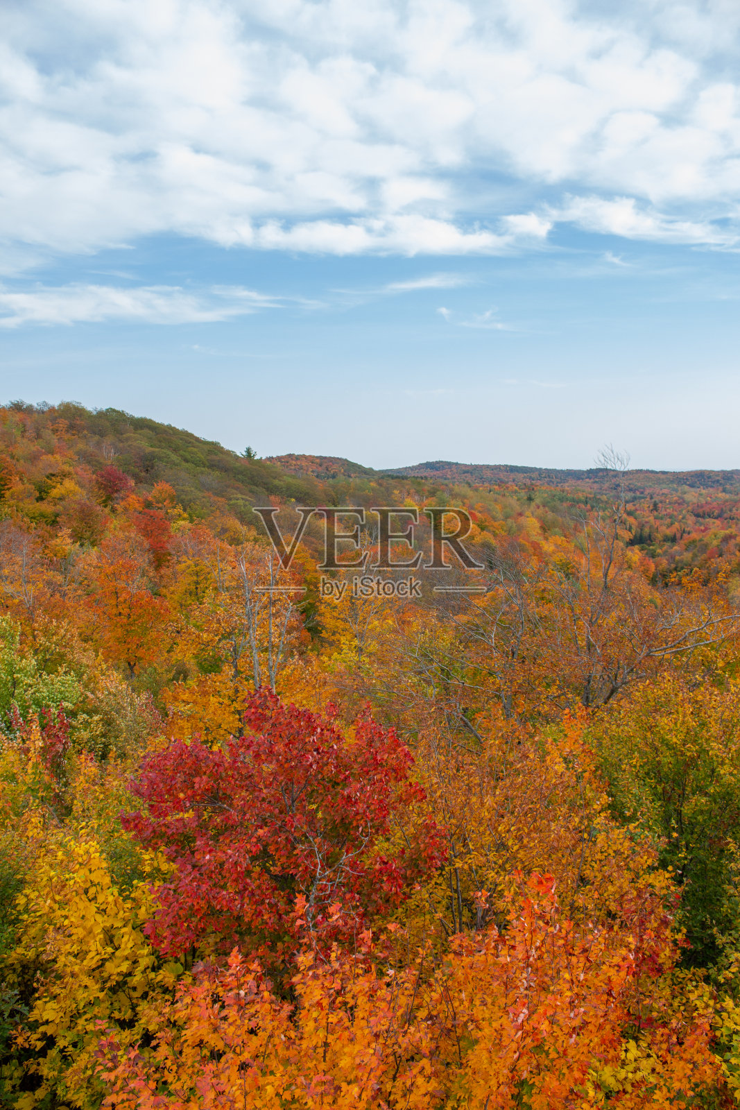魁北克的秋色照片摄影图片