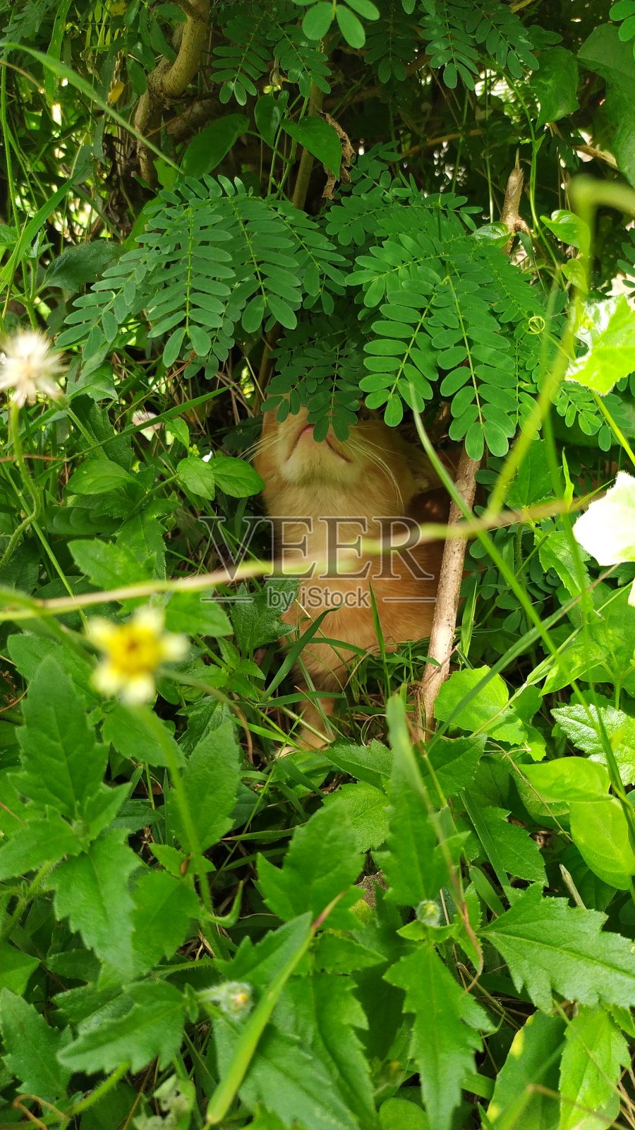 怎么了宝贝照片摄影图片