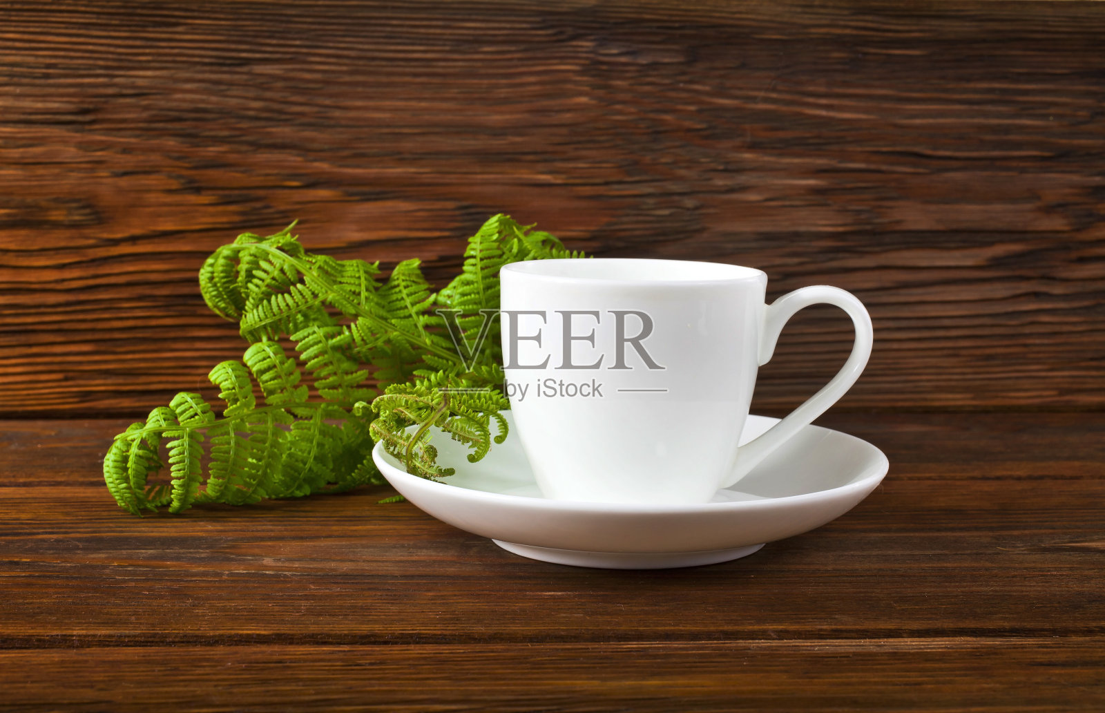 蕨叶杯照片摄影图片