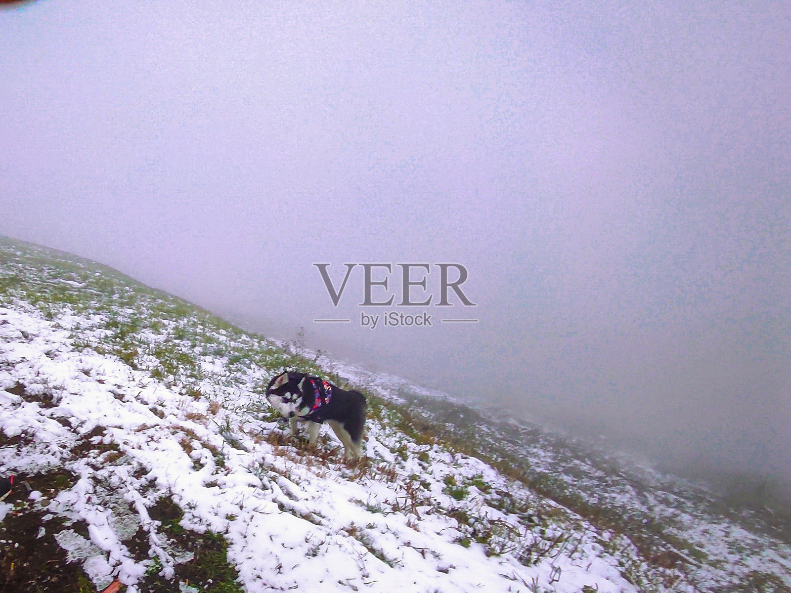 山上的雪照片摄影图片