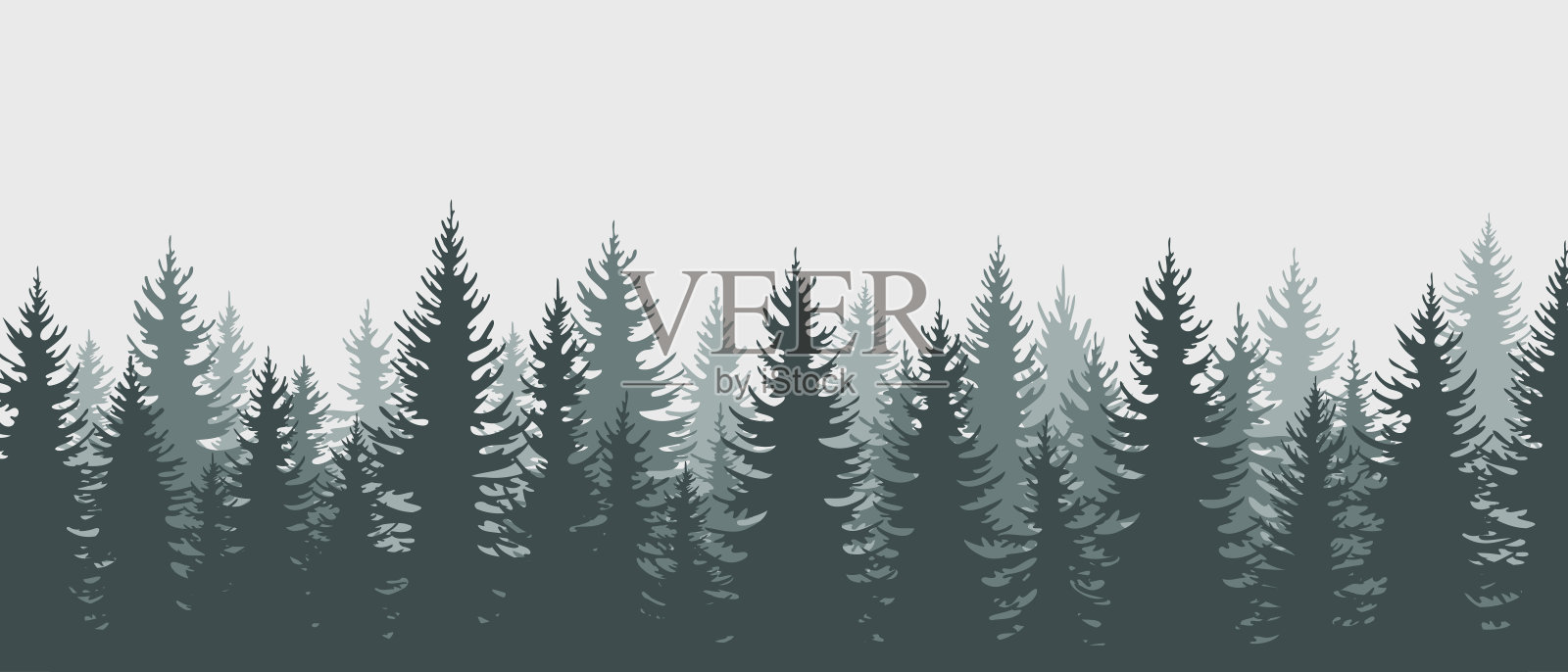 冷杉林水平背景。旗帜模板的Spurce剪影。针叶树常绿全景。矢量插图孤立在白色插画图片素材