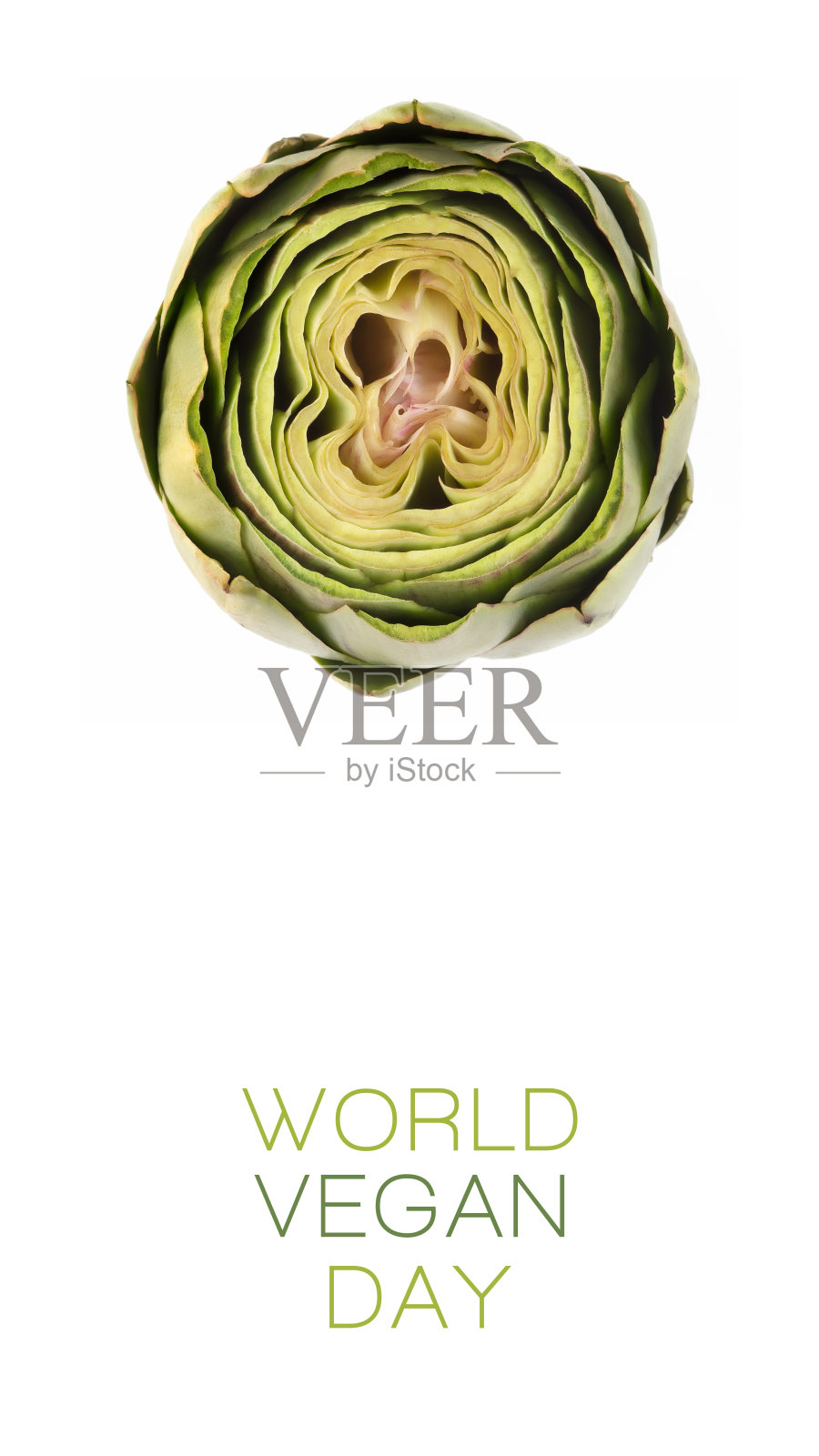 世界素食日海报设计与白色背景上新鲜洋蓟的俯视图。世界粮食日。吃素一天照片摄影图片