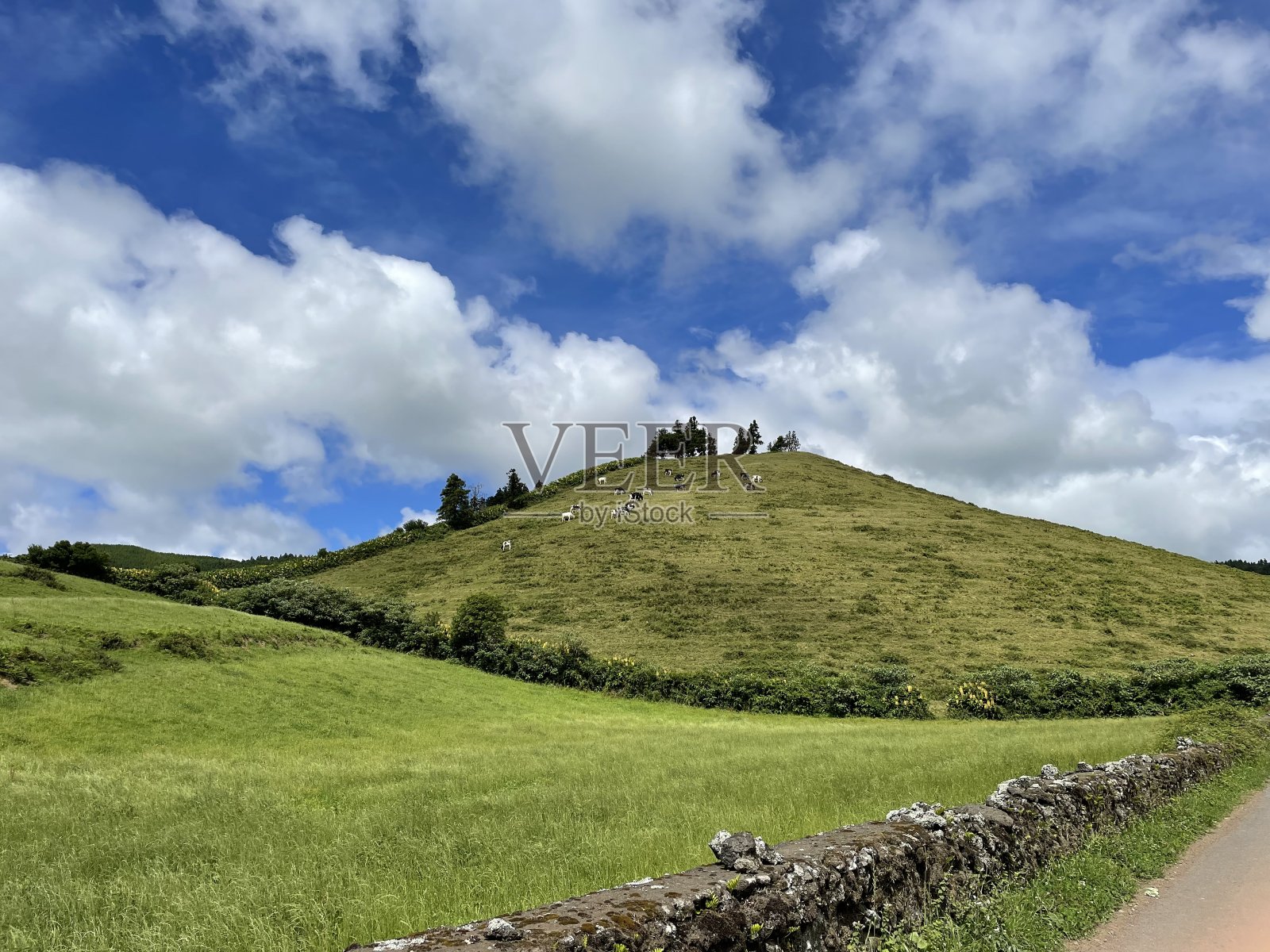 蓬塔德尔加达,亚速尔群岛照片摄影图片