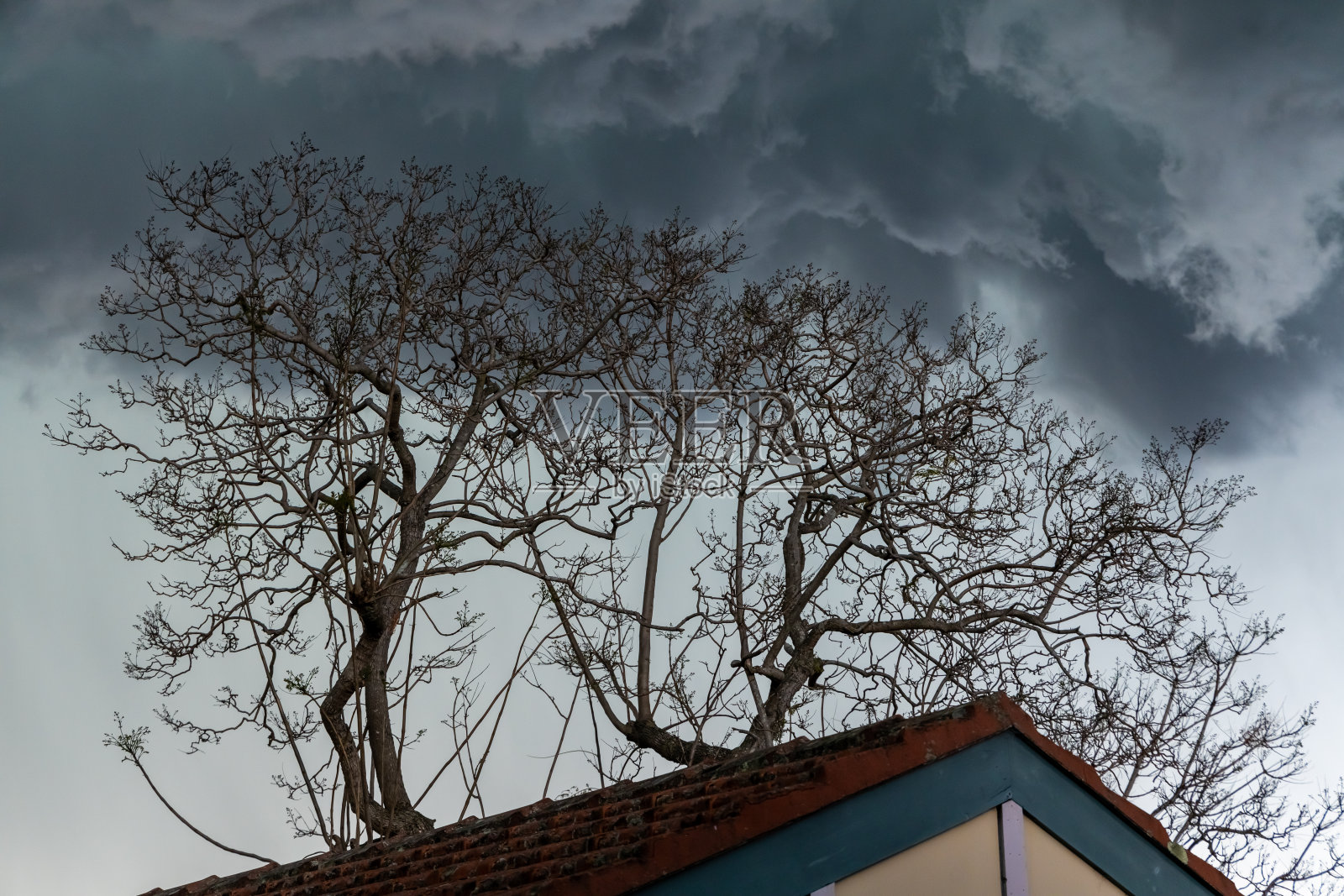 黑风暴云经过悉尼西郊新南威尔士州澳大利亚照片摄影图片