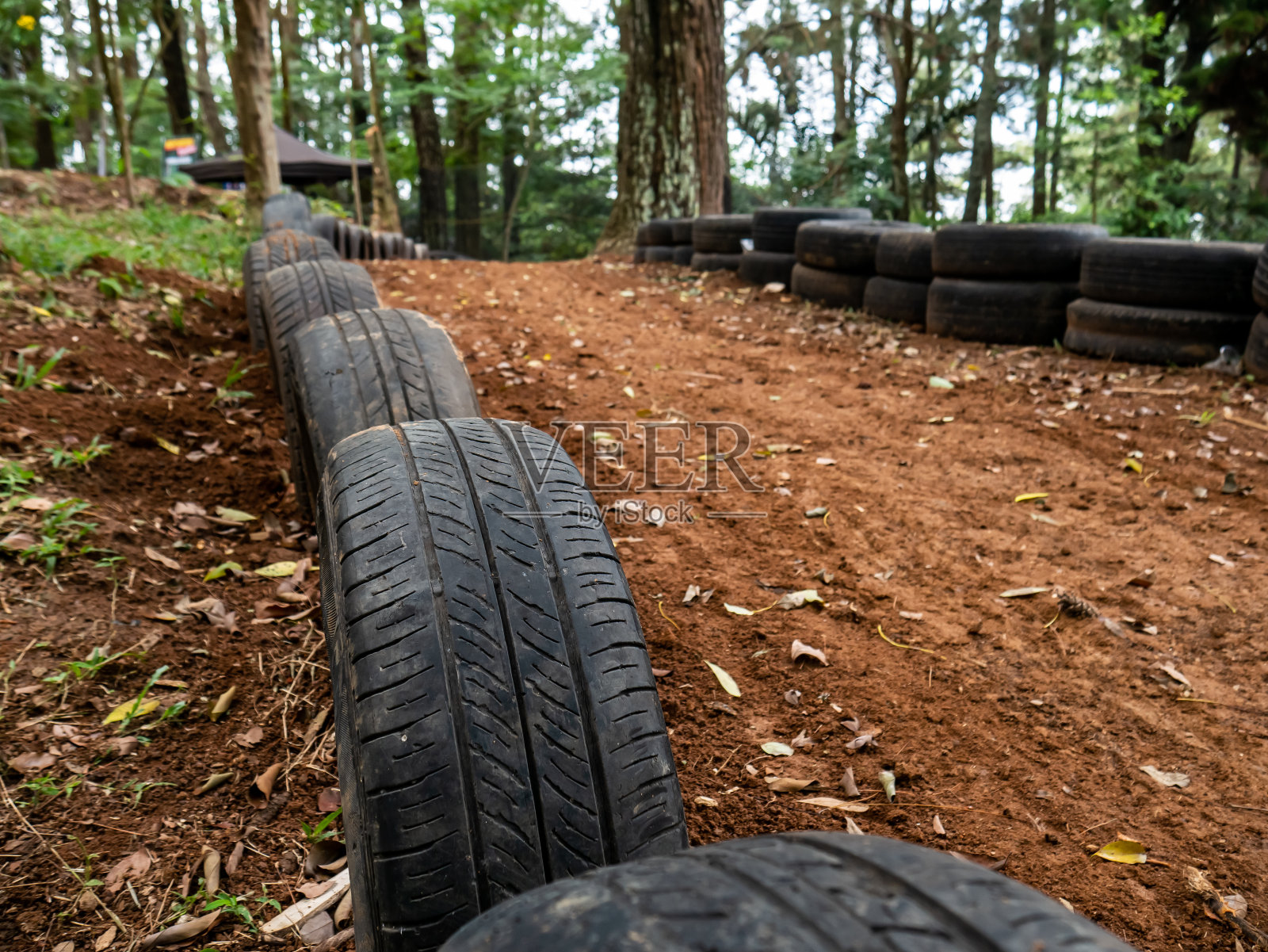 在森林里用作道路标记的旧轮胎照片摄影图片