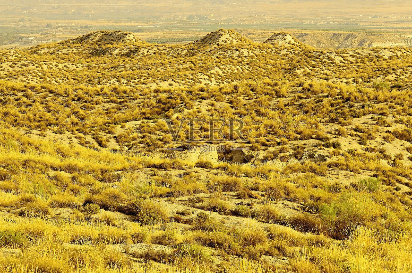 环境中的自然景观。照片摄影图片