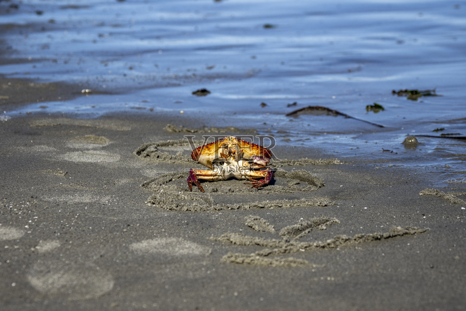 Parkville-Qualicum海滩照片摄影图片